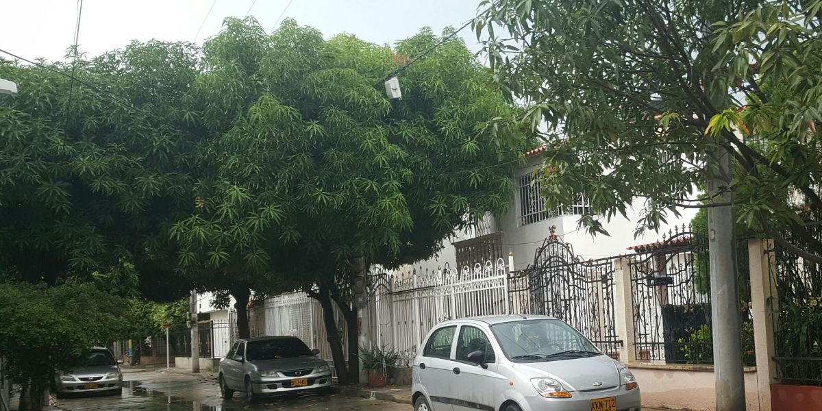 A través de las redes sociales los samarios reportaron la lluvia, sector de Villas de Alejandría, el cielo sigue nublado en Santa Marta. 