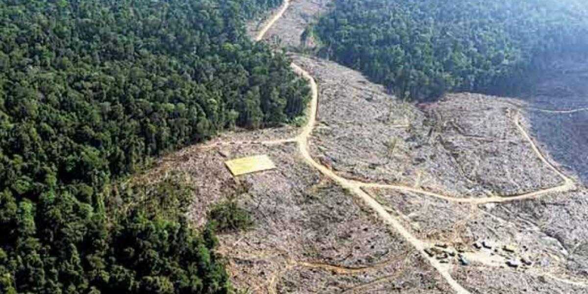 Deforestación en Colombia