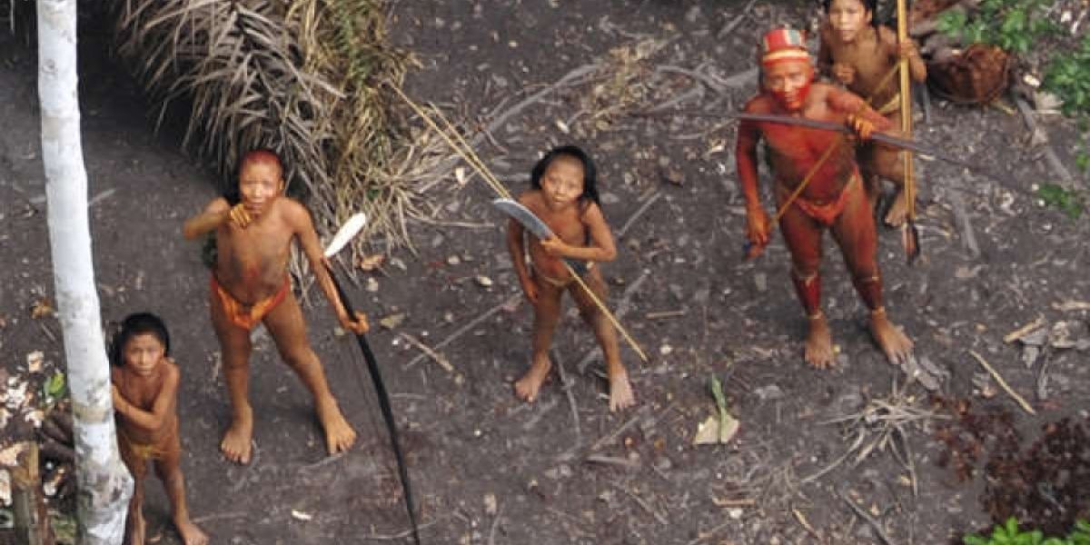 G.Miranda/FUNAI/Survival Imagen aérea obtenida en 2010 de indígenas aislados en la Amazonia brasileña.