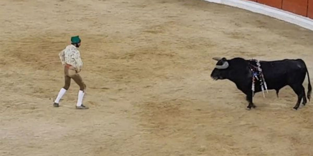 Captura de Pantalla Torero de 26 años atacado por toro