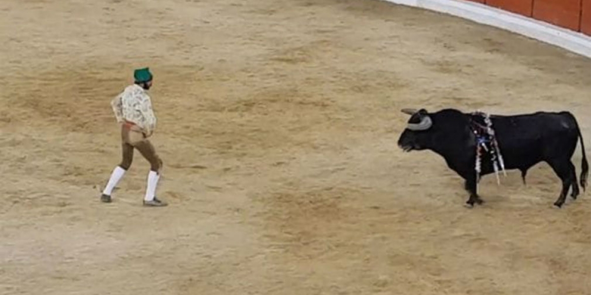 Torero de 26 años atacado por toro