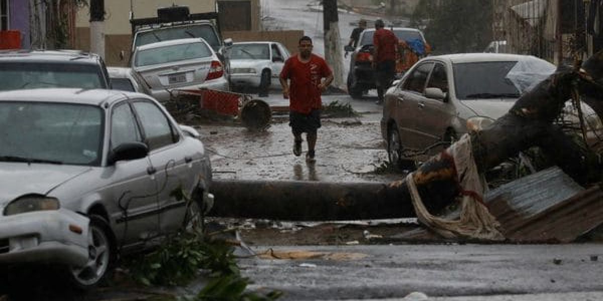 Ocho cuerpos fueron hallados este jueves en el municipio de Toa Baja (norte) de Puerto Rico.