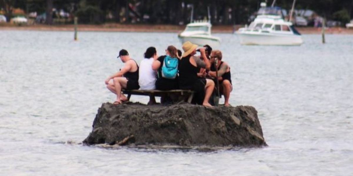 Amigos crearon isla para beber.