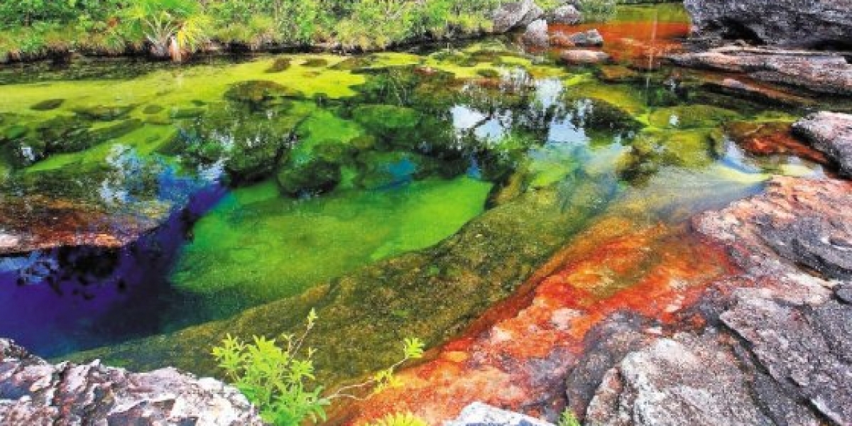 Entre los atractivos se encuentra río multicolor Caño Cristales.