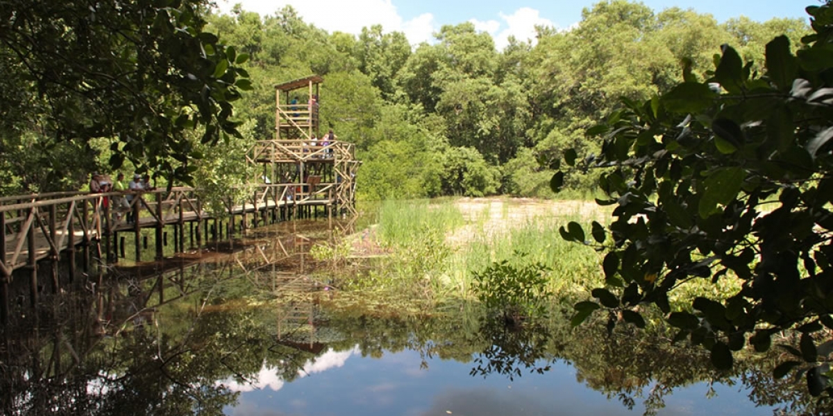 Parque Nacional Natural Isla de Salamanca.