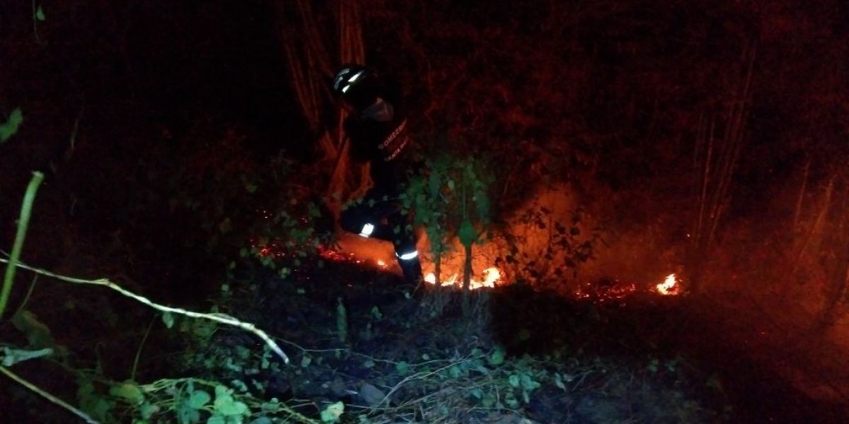 Bomberos Llamas consumieron seis hectáreas de vegetación en el Ziruma.