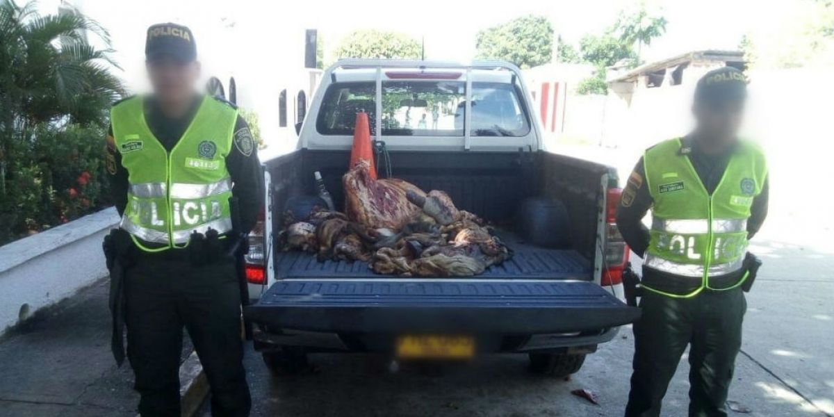 Parte de la carne decomisada en El Piñón y Tenerife.