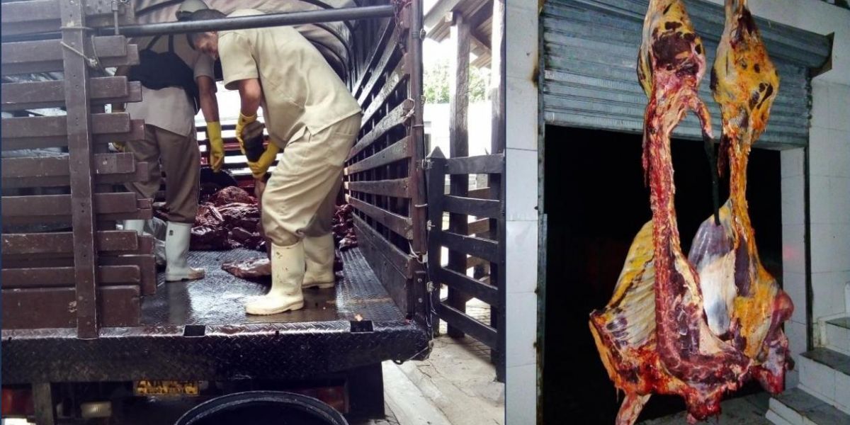  En total 2 toneladas de carne fueron decomisadas por el Invima en las dos plantas de beneficio animal.