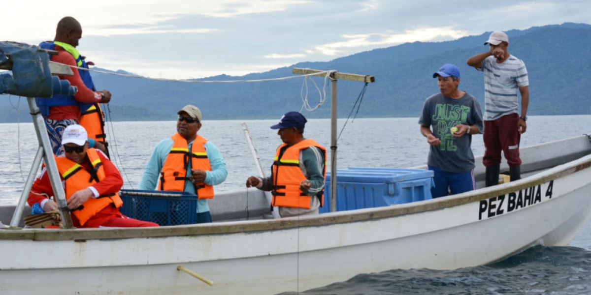 Pescadores de Ciénaga estuvieron en el Pacífico aprendiendo cómo realizar su actividad de manera integral.