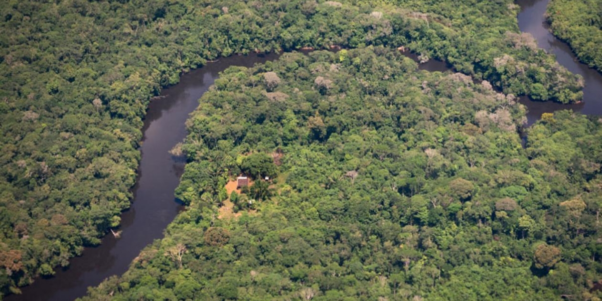 Amazonía colombiana se enfrenta a numerosos factores externos que amenazan su conservación.