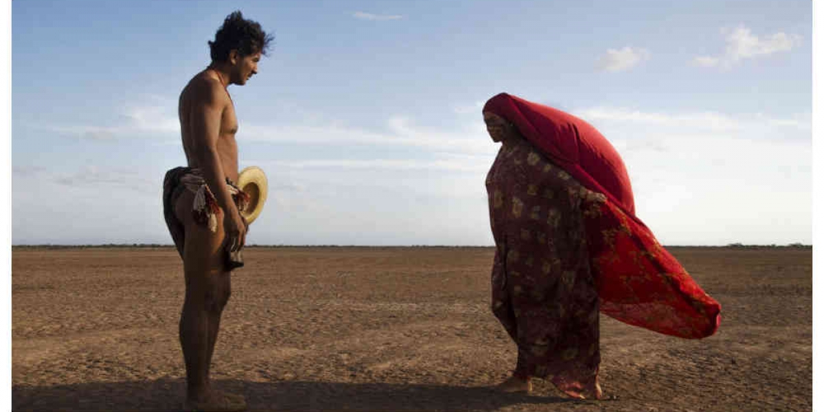  "Pájaros de verano" es una historia ambientada en los años setenta, cuando el cultivo y venta de marihuana trajo enormes riquezas, y también la decadencia, a algunas familias de la comunidad indígena wayúu, en el departamento colombiano de La Guajira.