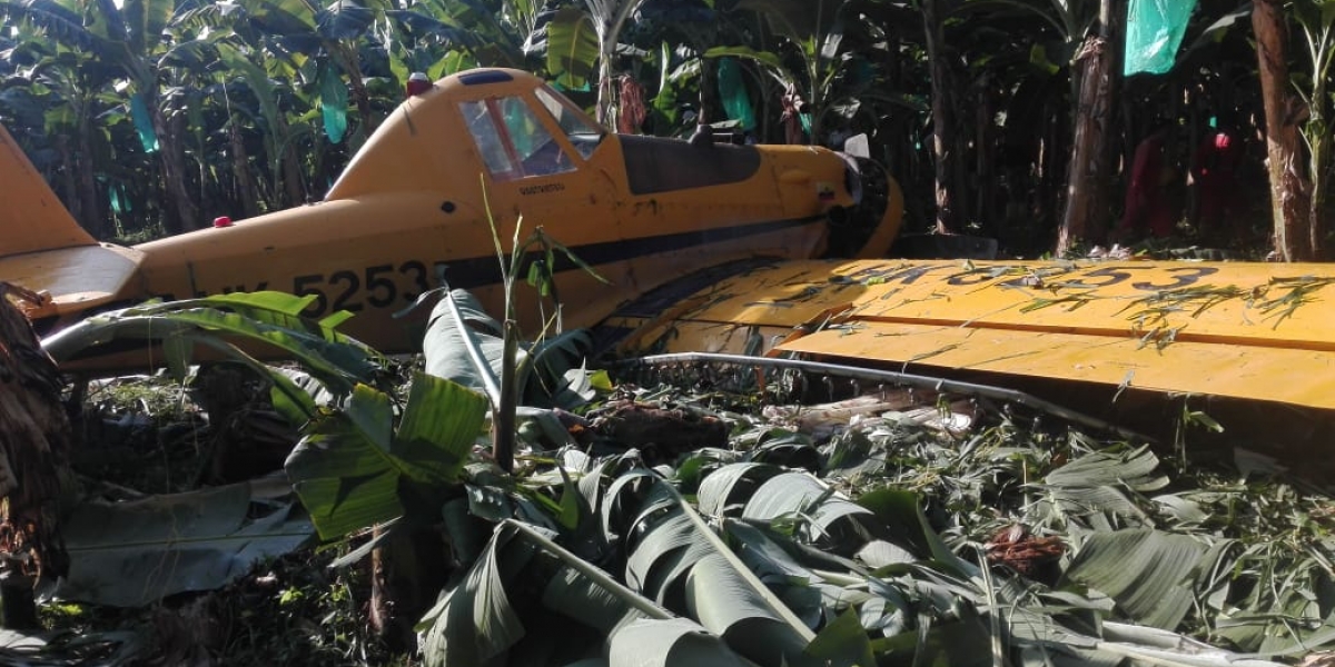 Cortesía. Pedro Pinilla debió hacer un aterrizaje forzado en una finca bananera del corregimiento Prado Sevilla.