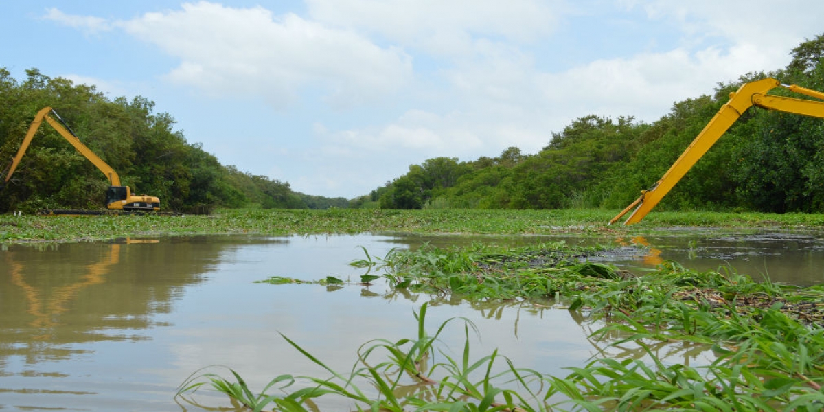 Dragados ciénaga