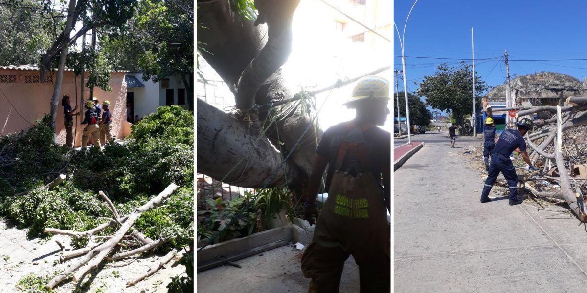 El cuerpo de Bomberos ha ejecutado maniobras de corte, remoción y amarre para recuperar la movilidad en las vías afectadas.