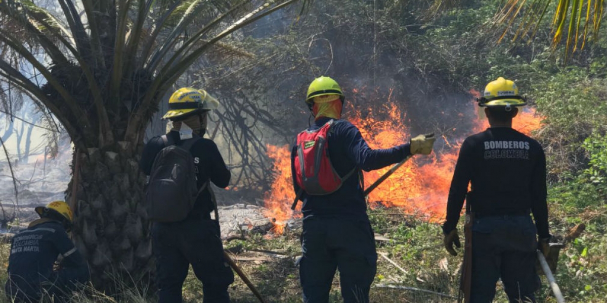 .Fuertes vientos han hecho difícil sofocar las llamas.