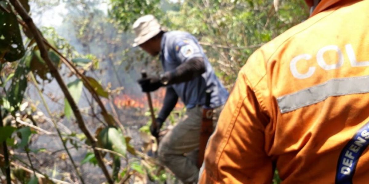 @ParquesColombia Autoridades intentan controlar el incendio.