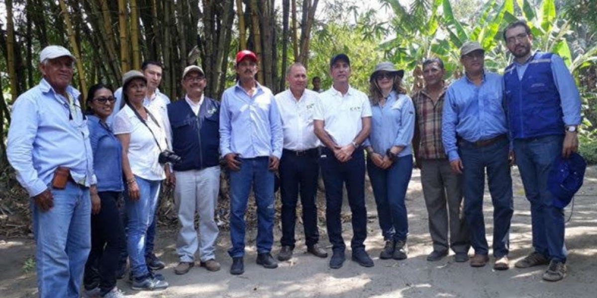Visita del Ica y Cenipalma a fincas con plantaciones de palma de aceite.
