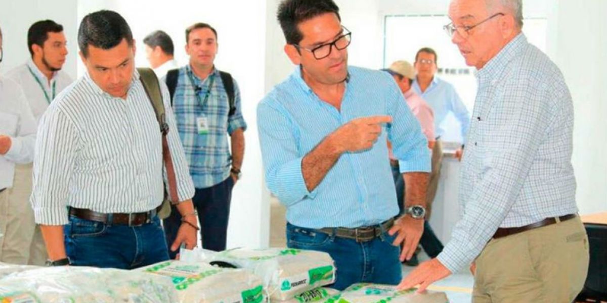 la estrategia de exportación de arroz, hace parte del Programa de Integración Hacia delante de los Agricultores que promueve Fedearroz