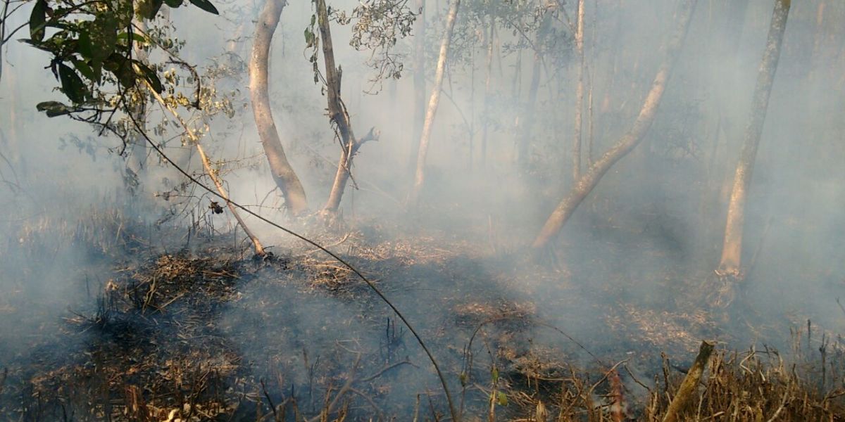 El incendio al parecer fue ocasionado por cazadores.