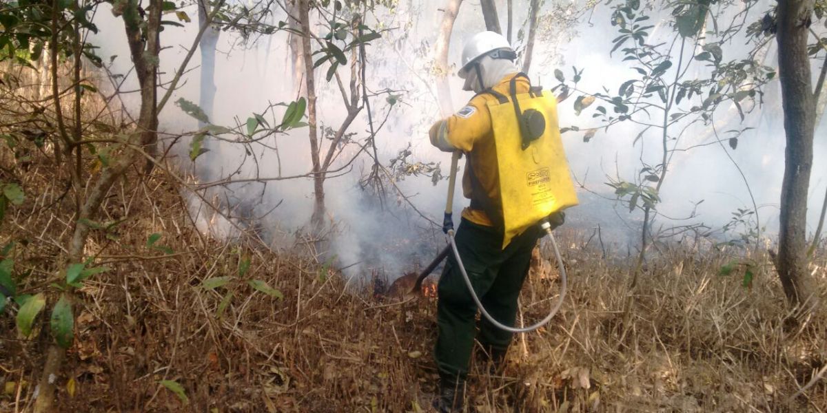 Bomberos trabajan para controlar la conflagración. 