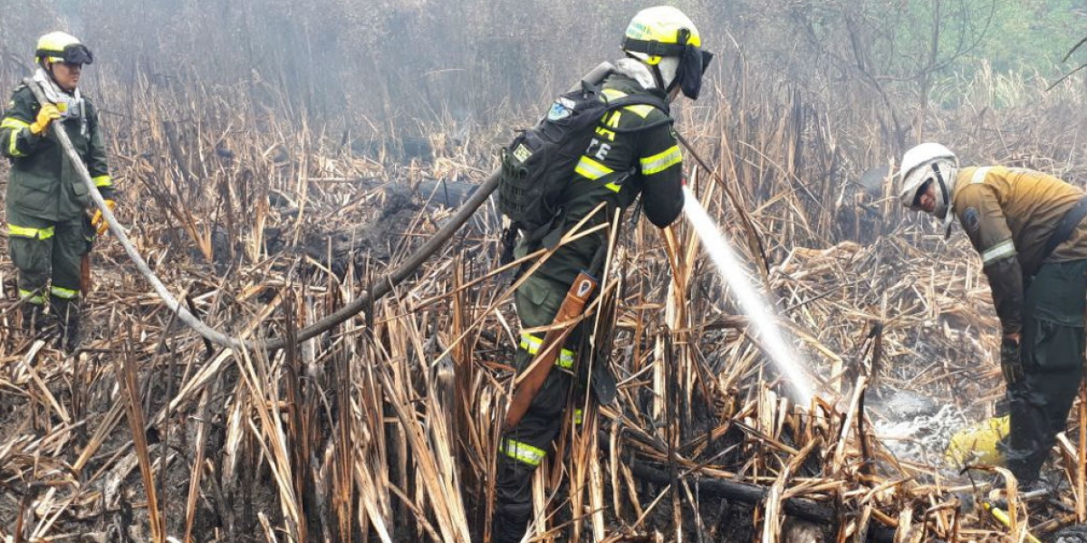 25 unidades pertenecientes a la Policía de Operaciones Especiales en Emergencias y Desastres (Ponalsar) apoyan las labores para controlar el incendio.