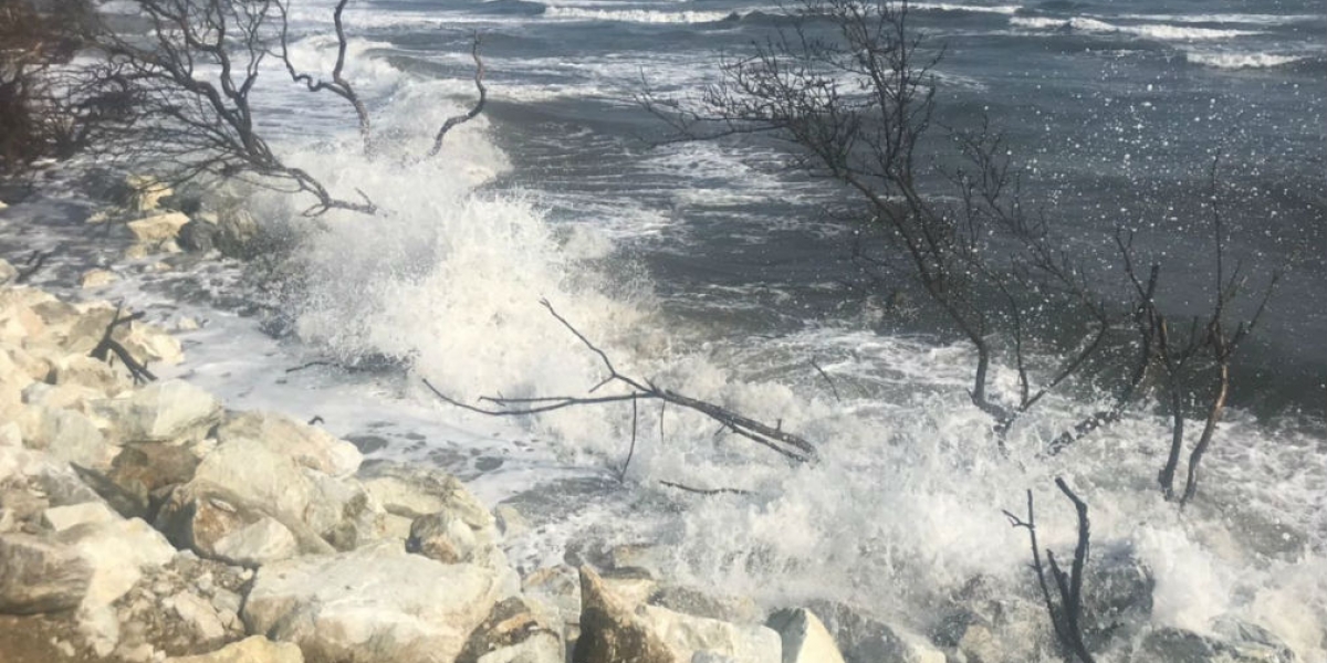 Estudios realizados en la zona determinaron un hecho concreto: no se puede seguir peleando con el mar.