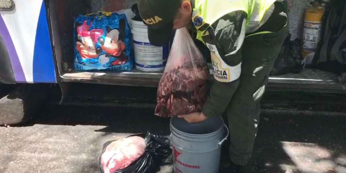 En los buses de servicio público y sin las mínimas normas de sanidad es transportada la carne que viene desde Venezuela. 