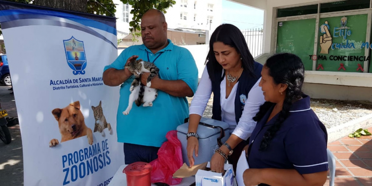 Alcaldía de Santa Marta Las jornadas se realizan los martes y jueves.