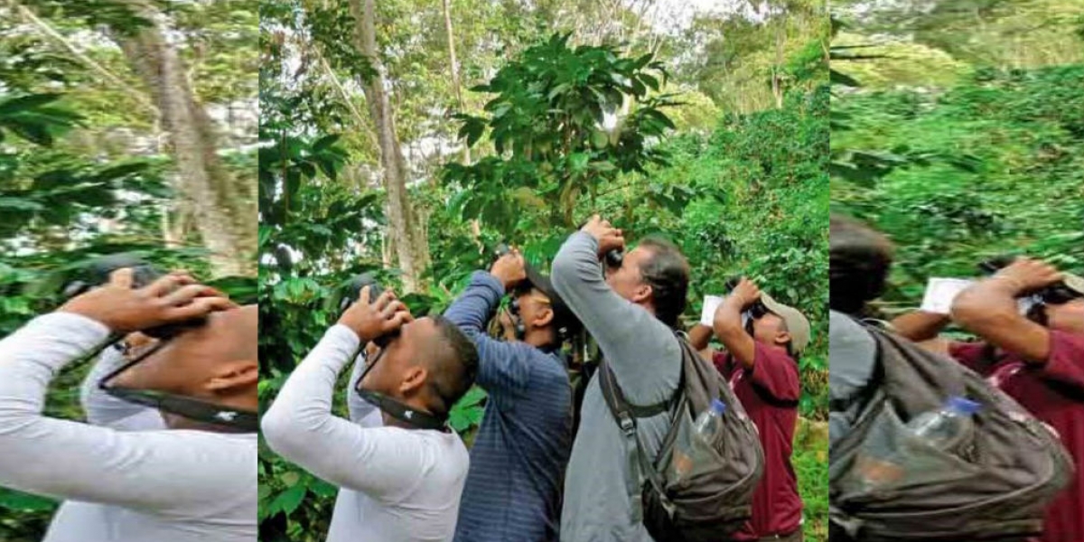 La visita de expertos en avistamiento de aves.