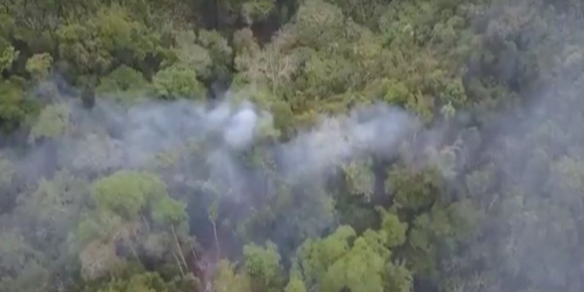 Las llamas que ya completan 3 días al parecer se generaron por una quema controlada por parte de los dueños de las parcelas en el sector de Marquetalia. 