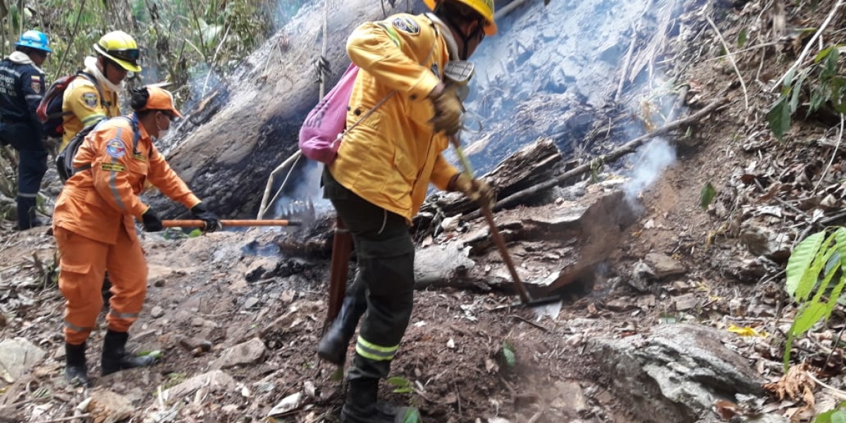 Prensa Alcaldía de Santa Marta. Unidades de las Defensa Civil y Bomberos controlan punto de propagación de las llamas.