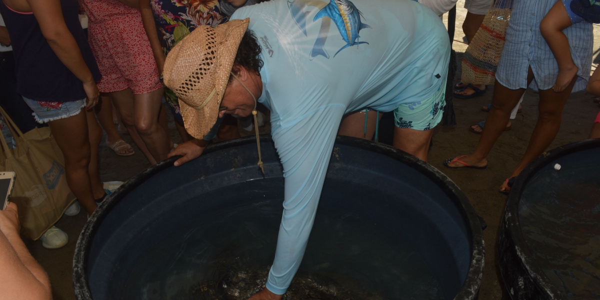 Carlos Vives durante la liberación de tortugas.