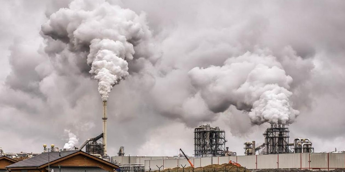 Nuevo Día. En ambientes con mayor contaminación la cantidad de proteínas, hierro y zinc en cultivos disminuye del 3 al 17 %.
