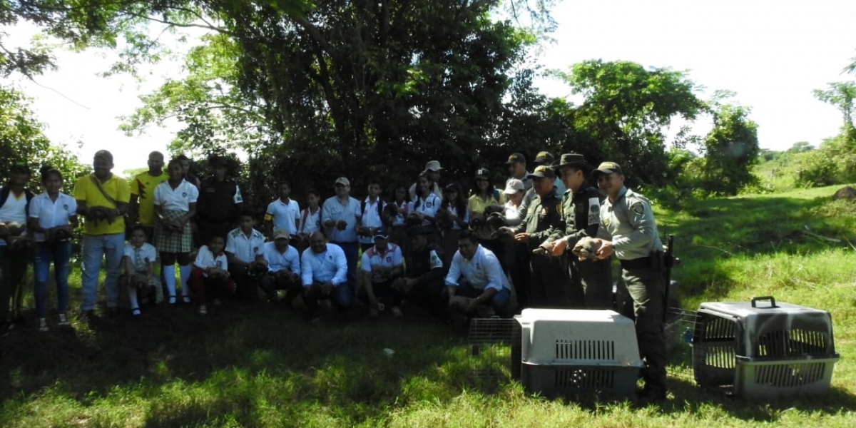 Las actividades de liberación de especies involucran a colegios para que aprendan sobre conservación.