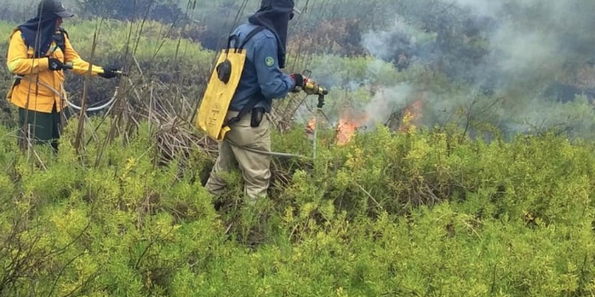  Brigadas especiales controlando el incendio forestal. 