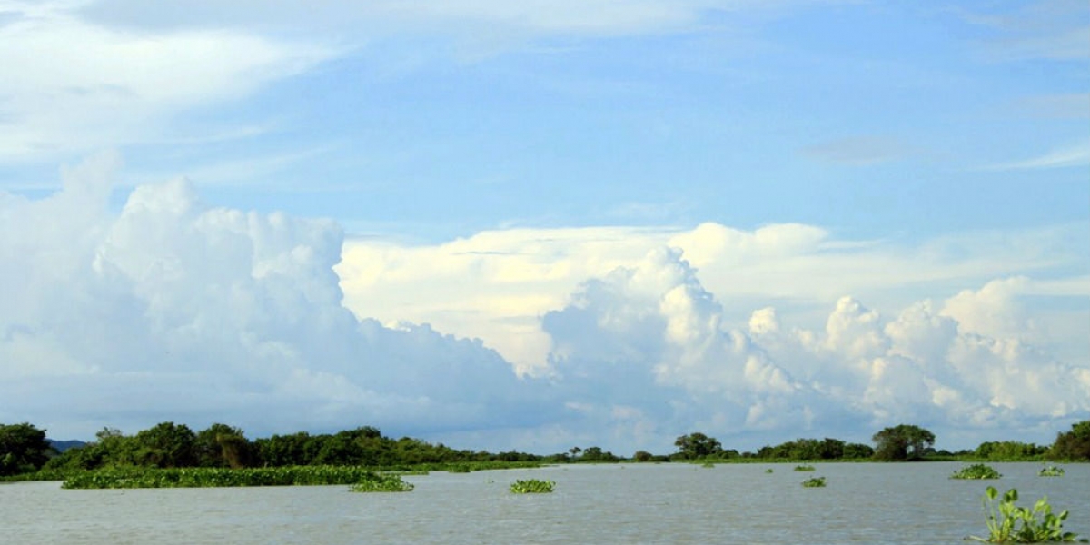 Kienyke Ciénaga Zapatosa