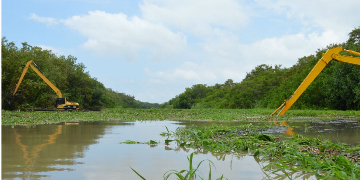 Dragado caños en la Ciénaga Grande de Santa Marta.