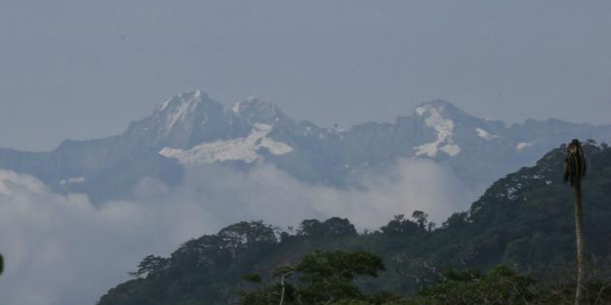 El jefe del Parque Sierra Nevada de Santa Marta está amenazado. 