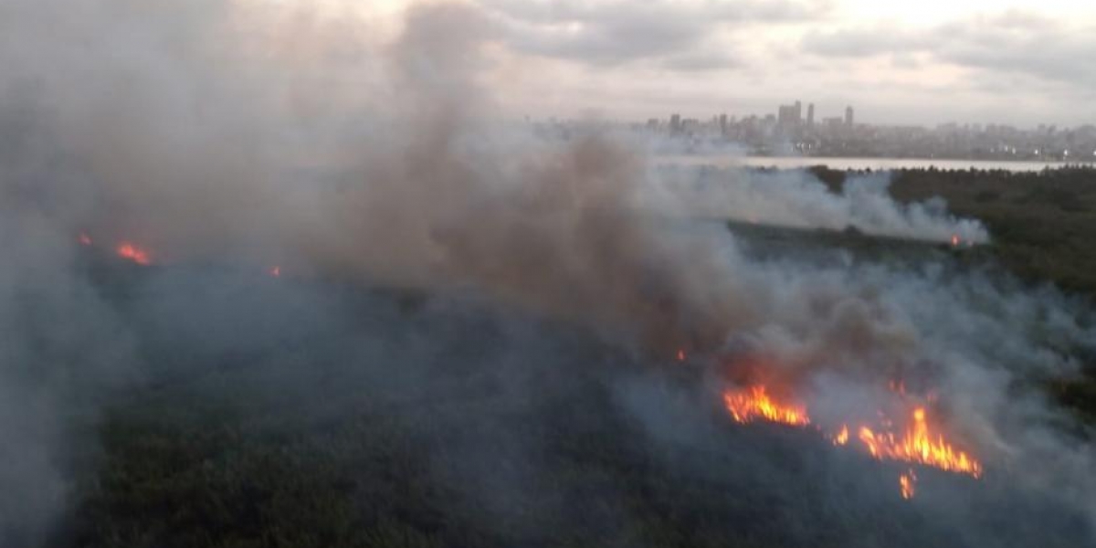 Incendio en el Vía Parque Isla Salamanca