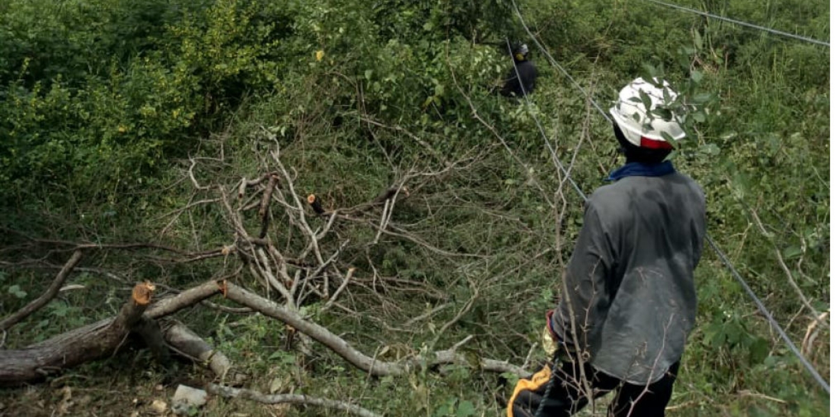 El robo de cables se ha registrado en la zona rural de Cerro de San Antonio.
