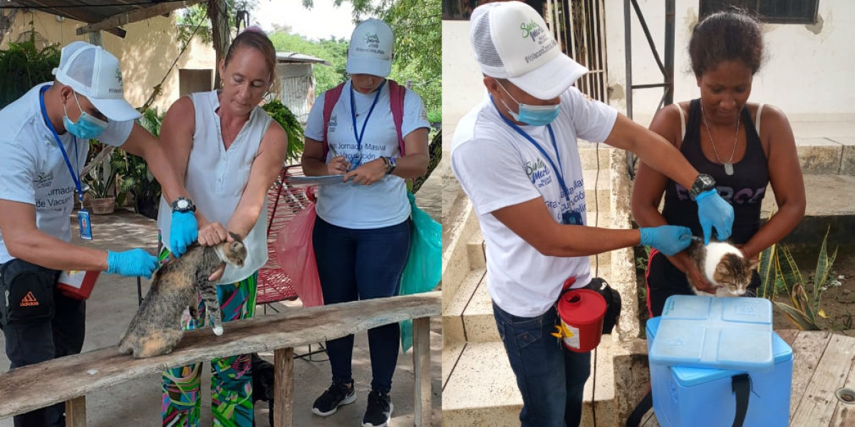 Jornada de vacunación de animales.