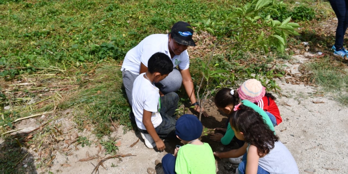 Dadsa Kids sembró árboles en la ronda hídrica de la quebrada Tamacá. 