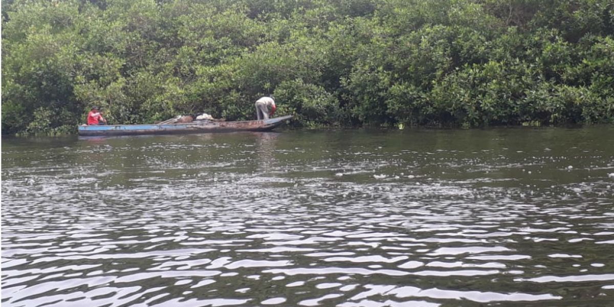 Ciénaga Grande de Santa Marta 