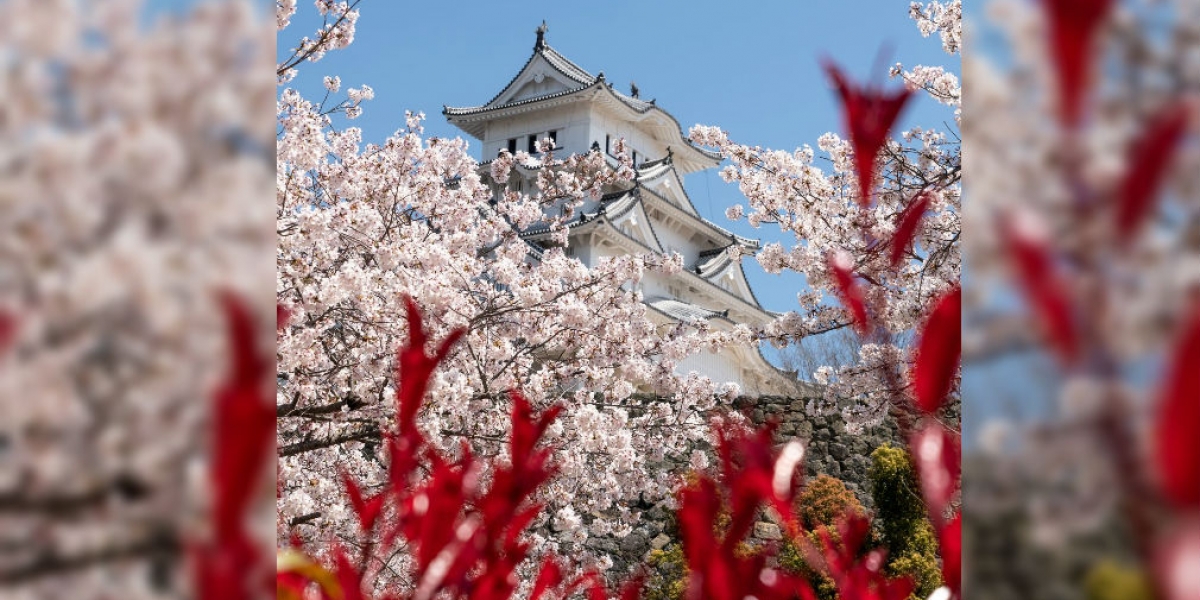 La ciudad de Himeji es una ciudad localizada en la prefectura de Hyōgo, Japón.