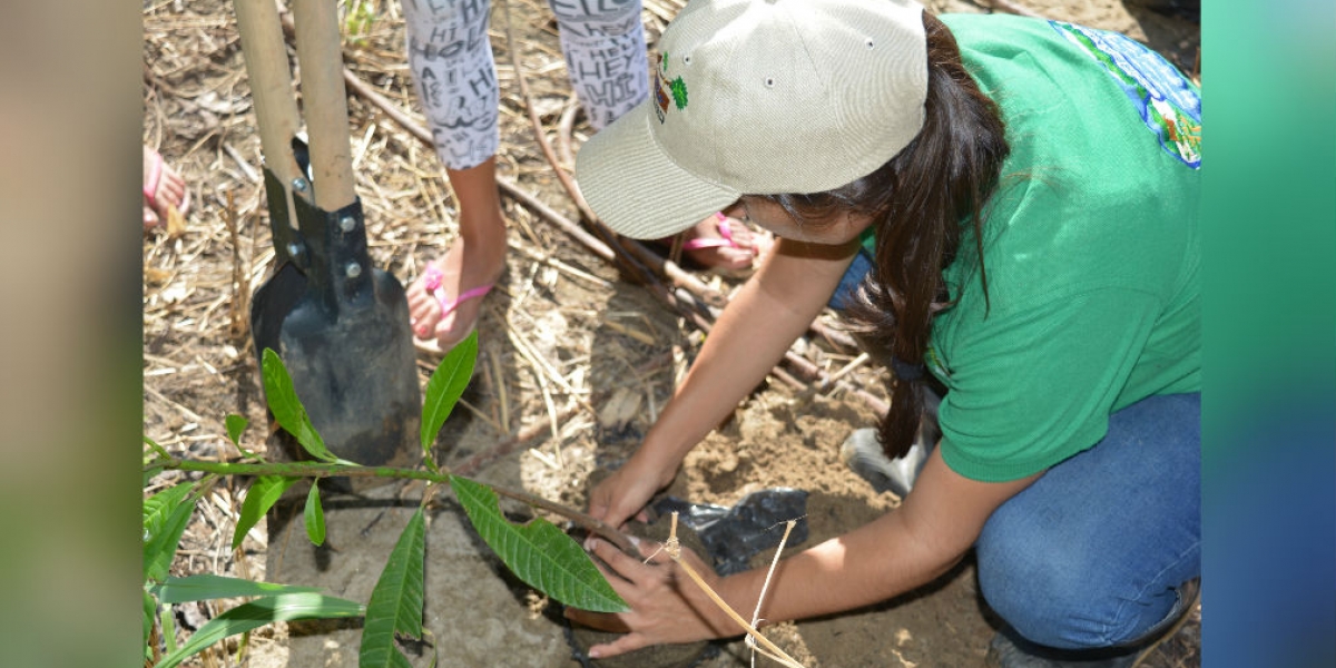 Jornada de Reforestación