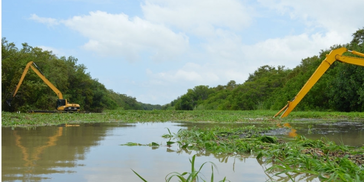 Ciénaga Grande de Santa Marta.