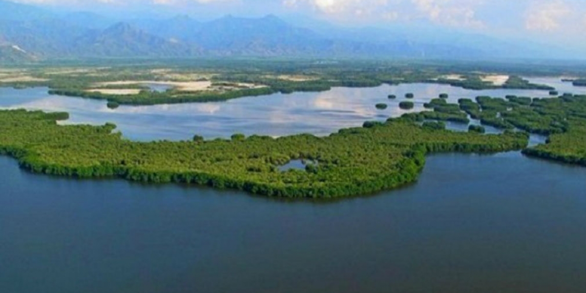 Ciénaga grande de Santa Marta