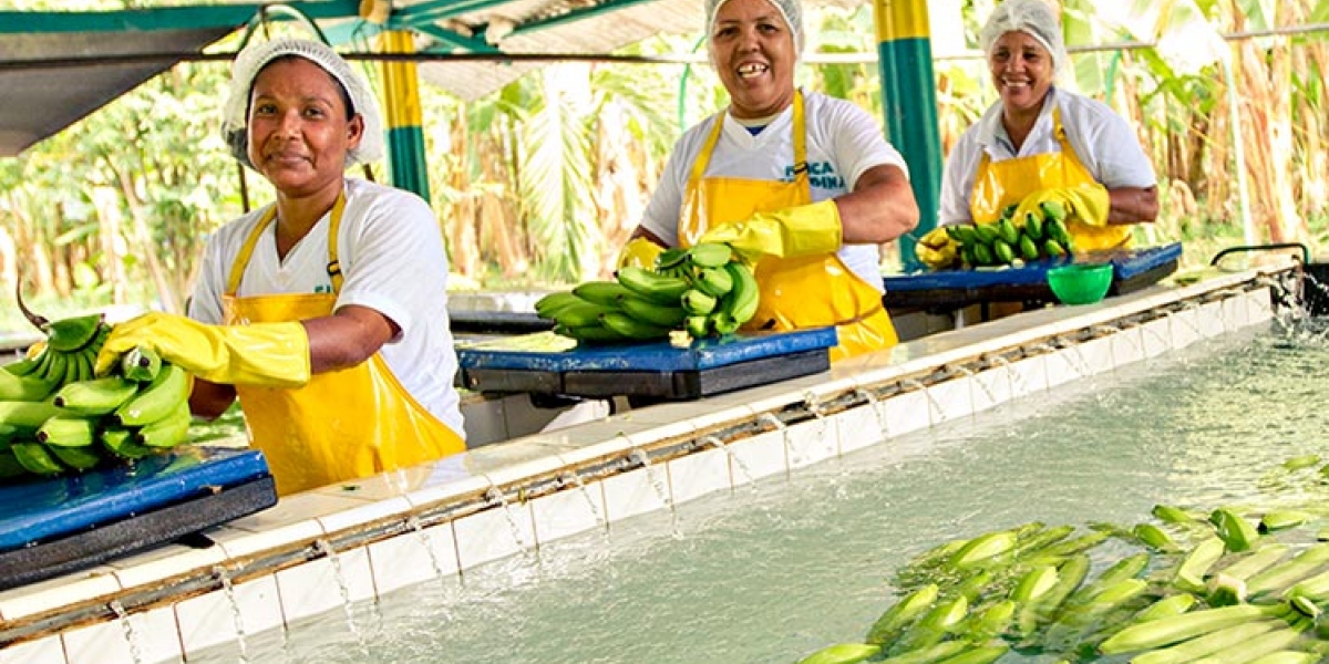 El 2018 fue complejo para las exportaciones del agro colombiano.