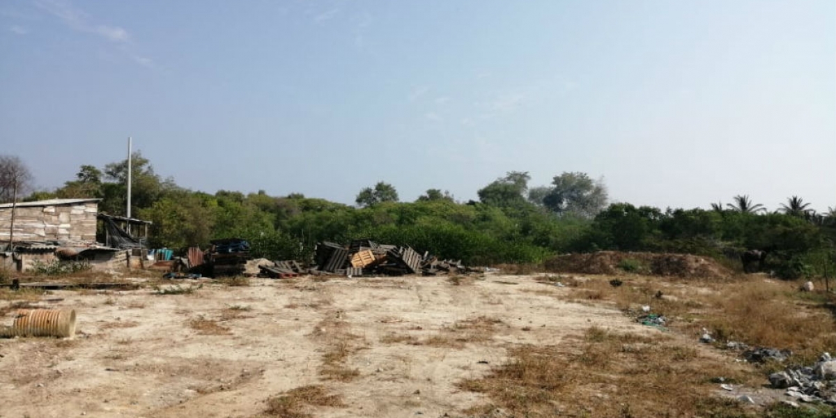 Invasión en la Ciénaga Grande de Santa Marta.