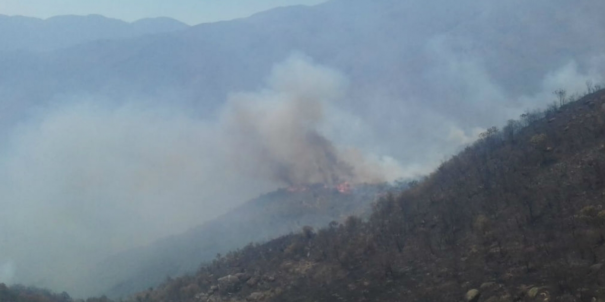 Incendio en la Sierra Nevada.